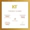 KT Professional Advance Hair Care Pre Conditioning Mustard Infused Keratin Shampoo (250ml)