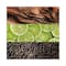 Lacoste Essential Eau De Toilette - (75ml)