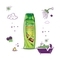 Fiama Lemongrass & Jojoba Shower Gel With Skin Conditioners (250ml)