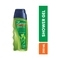 Fiama Men Quick Wash Shower Gel With Skin Conditioners (250ml)