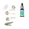 Rey Naturals Rosemary Oil (15ml)