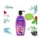 Fiama Blackcurrant & Bearberry Radiant Glow Shower Gel With Skin Conditioners (900ml)