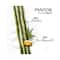 Pantene Advanced Hairfall Solution Shampoo with Bamboo (180ml)