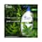 Head & Shoulders Neem Anti Dandruff Shampoo (650ml)
