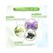 Mamaearth Me White Musk Deodorant Spray (120ml)