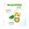 Mamaearth 10% Vitamin C Face Serum With Vitamin C And Gotu Kola (30ml)