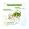 Mamaearth Bye Bye Face Cream With Green Tea & Collagen (30g)