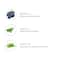 O3+ Blueberry Moisturising Glow D-Tan Creme Mask (300g)