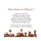 mCaffeine Coffee C-E-M Routine Kit (3Pcs)