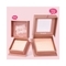 Benefit Cosmetics Dandelion Twinkle Soft Highlighter - Nude Pink (3g)
