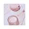 Laneige Lip Treatment Balm (10g)