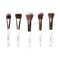 Praush Beauty 5 Pcs Essentials Face Brush Set