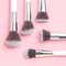 Praush Beauty 5 Pcs Essentials Face Brush Set