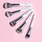 Praush Beauty 5 Pcs Essentials Face Brush Set