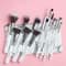 Praush Beauty 16 Pcs Professional Makeup Brush Set For Face & Eyes With Makeup Pouch