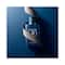 Giorgio Armani Acqua Di Gio Profondo Eau De Parfum (125ml)