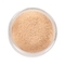 Paese Cosmetics High Definition Powder - Beige (7g)
