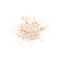 Shiseido Synchro Skin Invisible Silk Loose Powder - 02 Matte (6g)