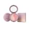 Paese Cosmetics Glow Duo Effect Blush + Highlighter - Pink (4.5g)