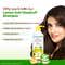 Mamaearth Lemon Anti-Dandruff Shampoo (600 ml)