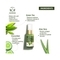 Lotus Botanicals Natural Green Tea Hydradetox Moisture Replenishing Face Serum (30g)