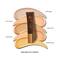 SoulTree Ayurvedic Bb Cream - Hazel Dew (30g)