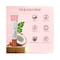 Just Herbs 3-In-1 Pore Refining Mattifying and Hydrating Primer SPF 15+ - Clear (20g)