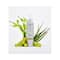 Juice Beauty 2-In-1 Stem Cellular Cleanser (133ml)