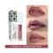 Just Herbs Ayurvedic Matte Liquid Lipstick - 17 Rosewood Pink (2ml)