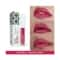 Just Herbs Ayurvedic Matte Liquid Lipstick - 06 Peony Pink (2ml)