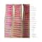 Just Herbs Ayurvedic Creamy Matte Lipstick - 02 Peachy Pink (4.2g)