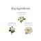 Yardley London Gardenia & Waterlily Floral Essence Shower Gel (250ml)