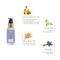 Forest Essentials Lavender & Neroli Light Day Lotion with SPF 25 (40ml)