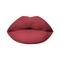PAC Moody Matte Lipstick - Bachelorette (1.6g)