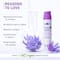 Plum 0.5% Retinol Anti-Aging Night Cream, Boosting Collagen, Fighting Wrinkles & Fine Lines (50ml)