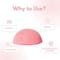 ClayCo. Sakura Konjac Sponge 1s