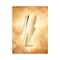 Carolina Herrera Bad Boy Gold Fantasy Eau De Toilette (100ml)