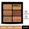 Insight Cosmetics HD Conceal Correct Contour - Light Skin (12g)