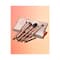 Sigma Beauty Iconic Brush Set
