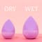 Typsy Beauty Dip & Dab Dual Blender - Lavender