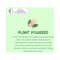 Mother Sparsh Plant Powered Baby Skin Sunscreen Lotion SPF 30+ (100ml)