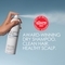 Olaplex No. 4D Clean Volume Detox Dry Shampoo (250ml)