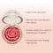 Typsy Beauty Enchanted Garden 3D Rose Blush - Princess Charming (4.8g)