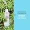 Faces Canada Pro Hydration Serum Cactus I Hydrating Biphasic Serum I Hyaluronic acid I (27 ml)
