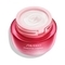 Shiseido Essential Energy Hydrating Cream (50ml)