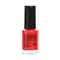 Lakme True Wear Color Crush Nail Polish Long Lasting & Vibrant Nail Paint 501 (6 ml)