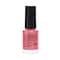 Lakme True Wear Color Crush Nail Polish Long Lasting & Vibrant Nail Paint - 43 (6 ml)