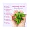 Anveya Roots Ban The Fall Hair Oil-In Serum (120ml)