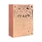 FAE BEAUTY Ten on Ten Lips + Skin Gift Box - Transforming & Goofy & Basic Skin Stick