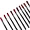 PAC Studio Lip Pencil Vault (10Pcs)
